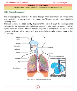 Page 6 - 10-BIO-10-newflip