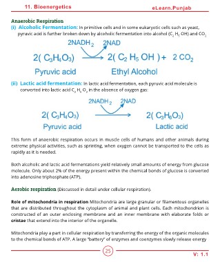 pyruvic acid to lactic acid