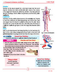 Page 5 - 7-Sci-2 Transport in Humans and Plants